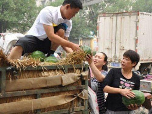 汝南县吃瓜事件视频,真相与争议交织