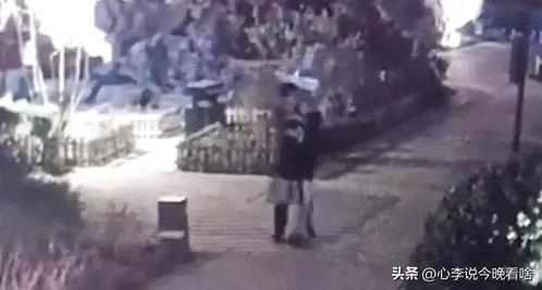 巨鹿吃瓜事件视频,一场网络狂欢背后的真相揭秘