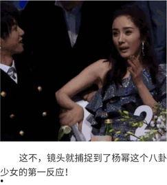 老外看八卦吃瓜视频下载,揭秘老外如何通过吃瓜视频了解中国娱乐圈