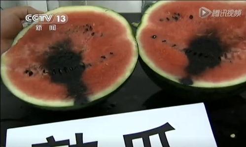 新鲜的瓜吃瓜视频,揭秘热门吃瓜视频背后的新鲜瓜趣