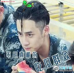 最帅的吃瓜视频大全图片