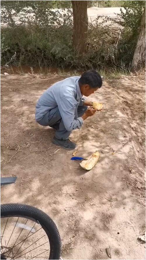 伽师怎么吃瓜视频,揭秘新疆伽师特色吃瓜文化