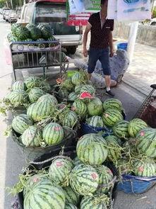 东营乐活城吃瓜事件视频,一场引发热议的街头冲突